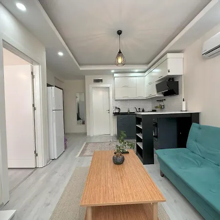 Modern 1-bedroom In Center Apartment Antalya